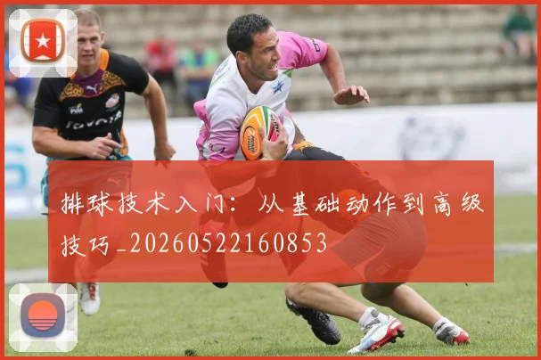 排球技术入门：从基础动作到高级技巧_20260522160853